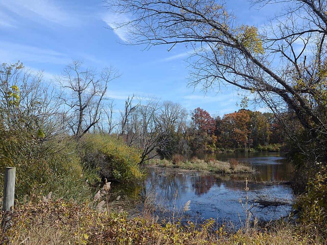 Hero image for Fall in North Haven: 12 things to do this October. Photo courtesy of North Haven Land Trust.