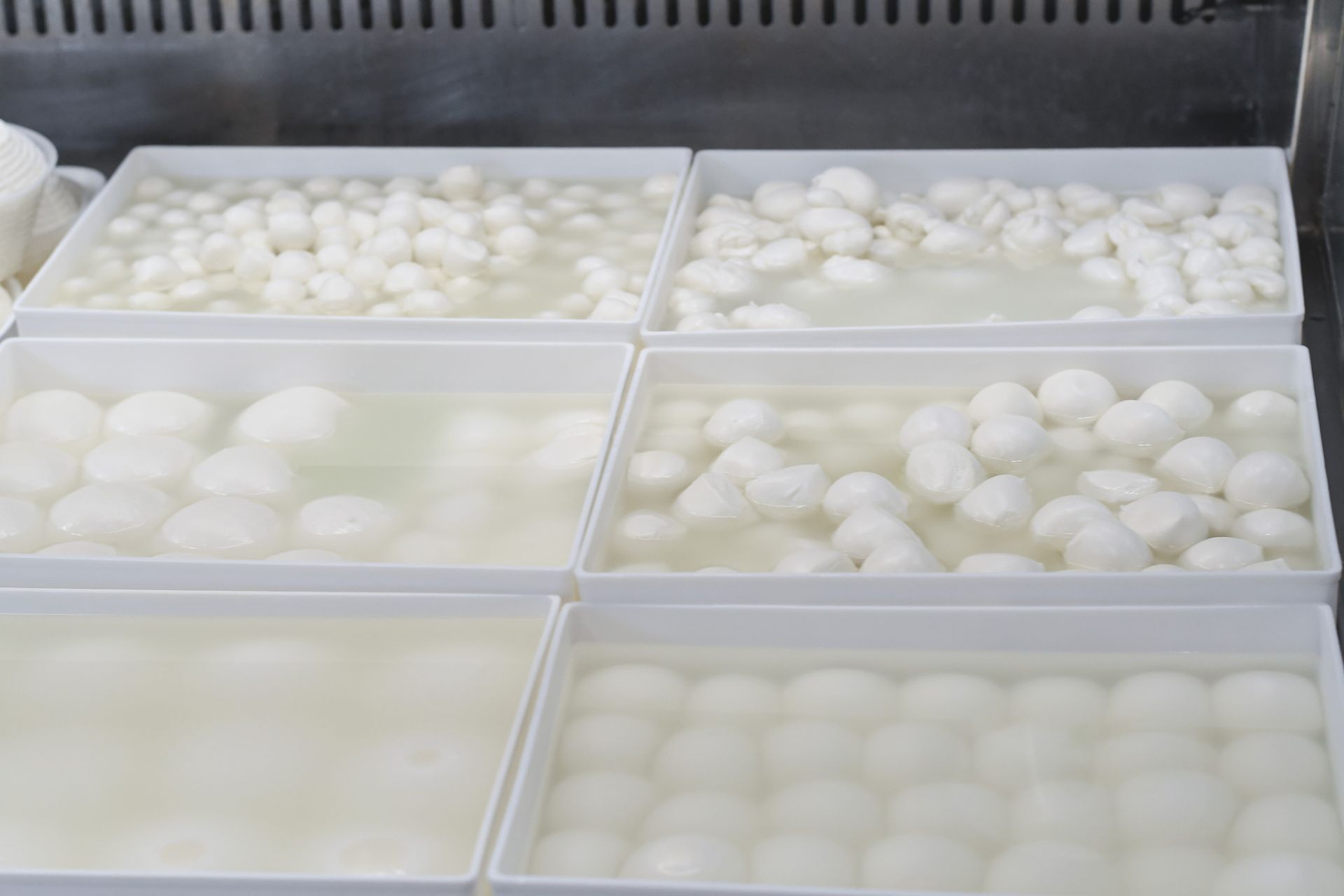 Trays of fresh mozzarella at Liuzzi Gourmet Food Market in North Haven