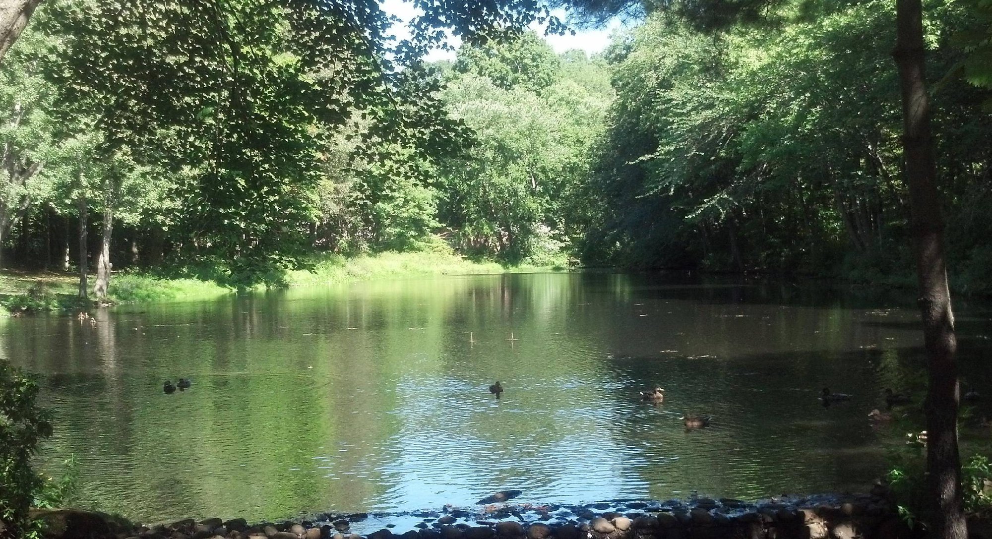Hero image for North Haven parks and trails guide: Peter's Rock, Hansen Park, Todd's Pond and more. Photo courtesy of Town of North Haven.