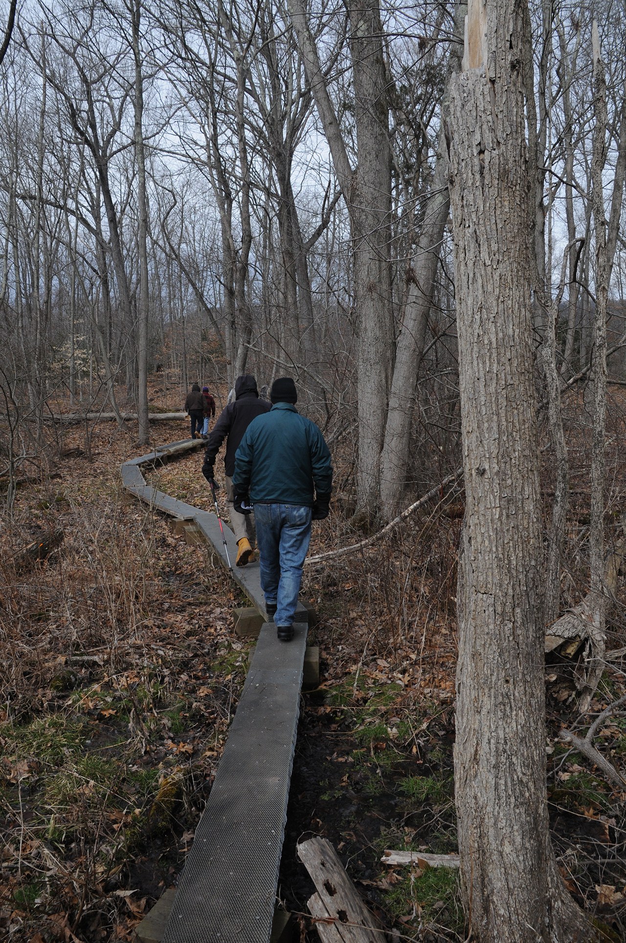 Visitors walk single file along a narrow wooden boardwalk through bare woods at Wah Wah Taysee